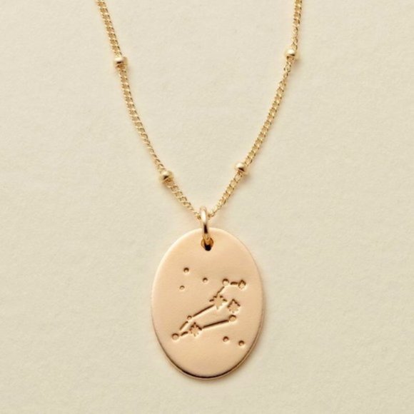 Jewelry - Leo Minimalist Zodiac Charm Oval Disc Necklace